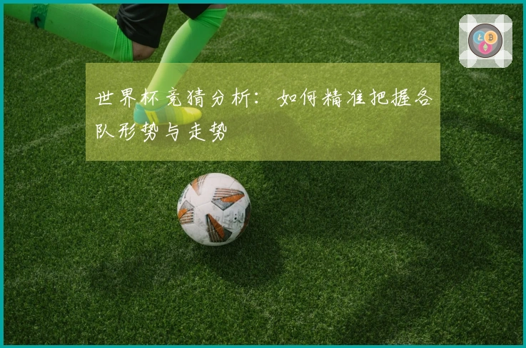 世界杯竞猜分析：如何精准把握各队形势与走势