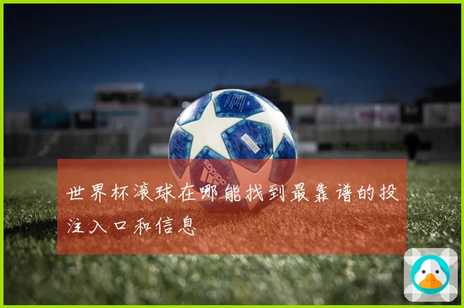世界杯滚球在哪能找到最靠谱的投注入口和信息