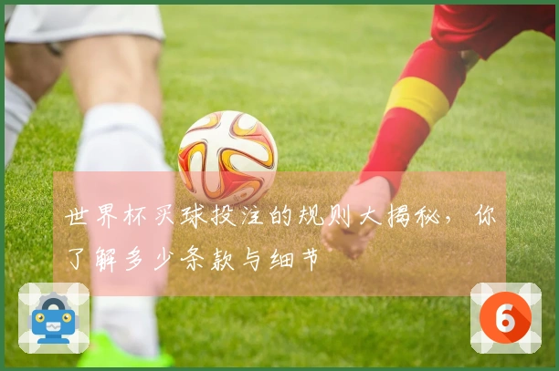 世界杯买球投注的规则大揭秘，你了解多少条款与细节