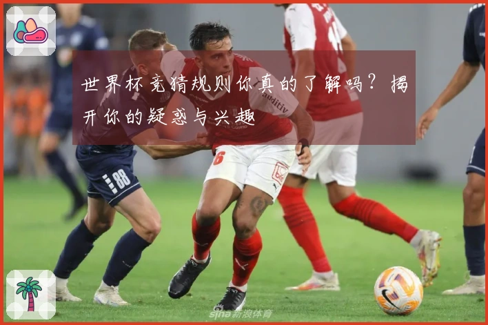 世界杯竞猜规则你真的了解吗？揭开你的疑惑与兴趣