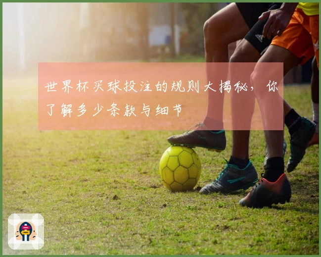世界杯买球投注的规则大揭秘，你了解多少条款与细节