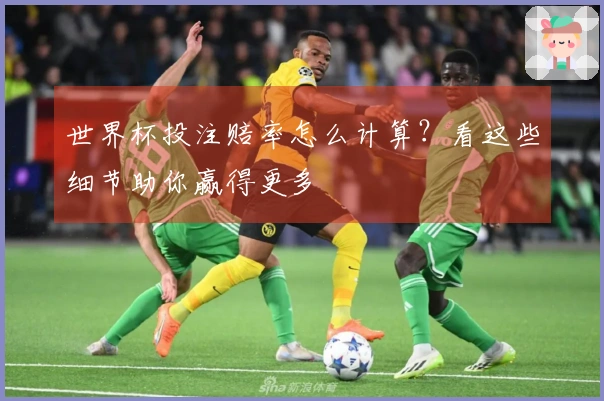 世界杯投注赔率怎么计算？看这些细节助你赢得更多