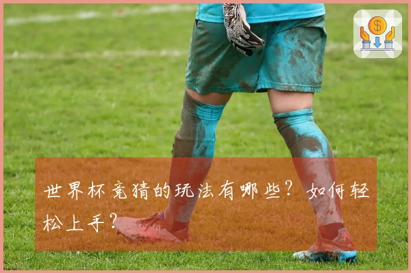 世界杯竞猜的玩法有哪些？如何轻松上手？