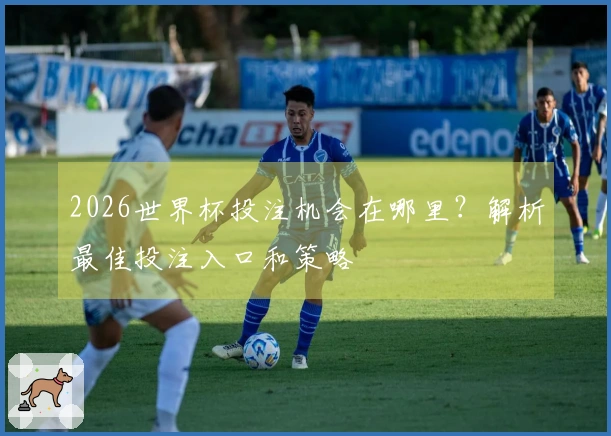2026世界杯投注机会在哪里？解析最佳投注入口和策略