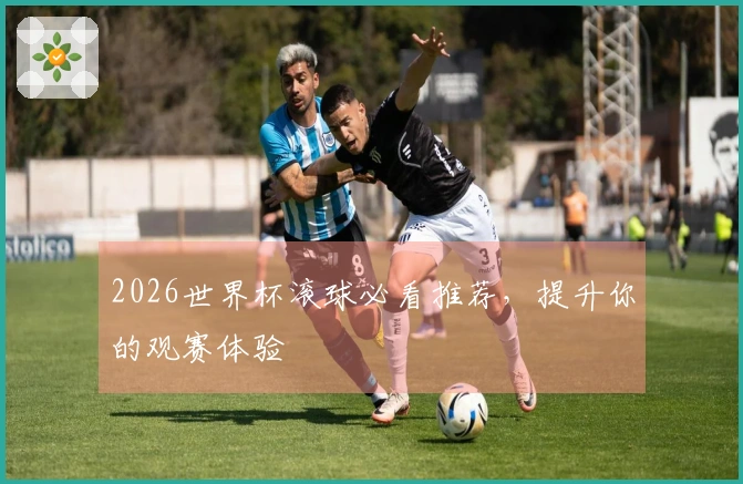 2026世界杯滚球必看推荐，提升你的观赛体验